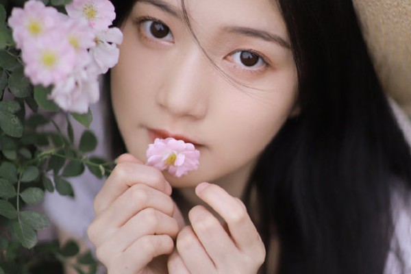 鲜姬松茸养生良药大揭秘：功效禁忌一览无遗